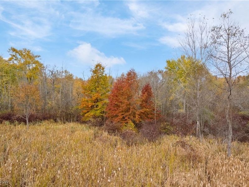 4674 Massillon Road, Green, OH 44720 Photo 8