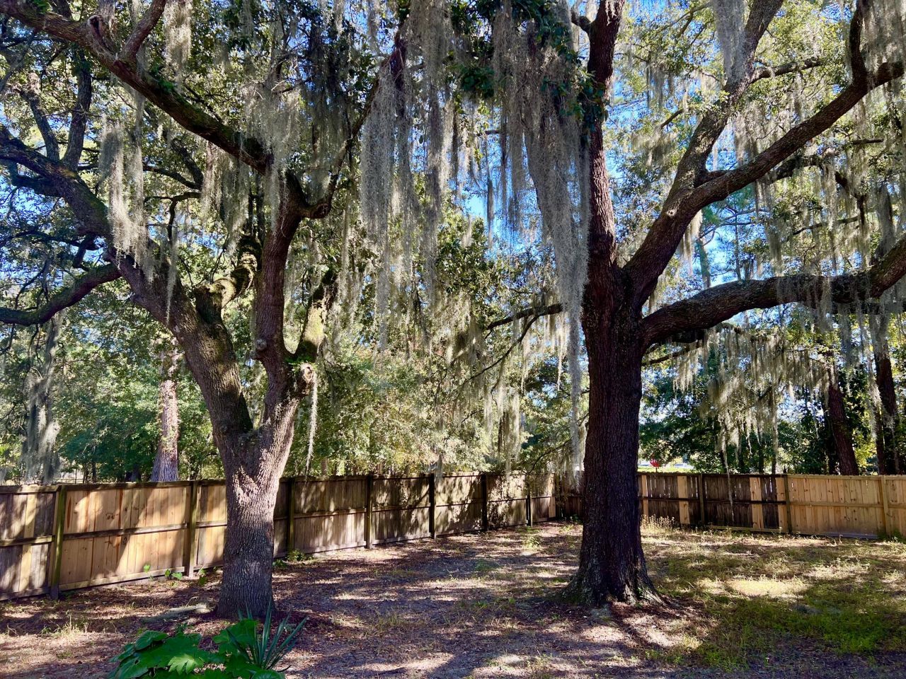 1501 Thoroughbred Boulevard Photo 46