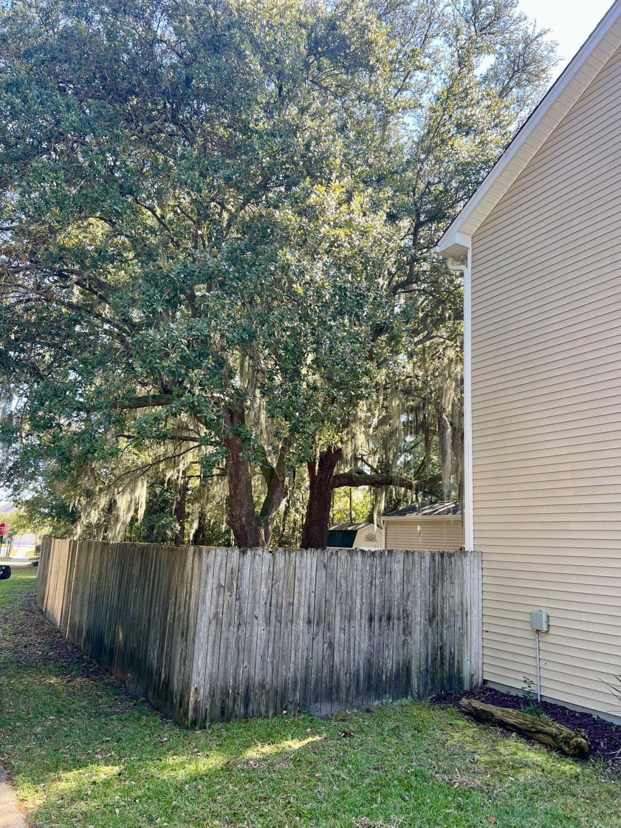 1501 Thoroughbred Boulevard Photo 51