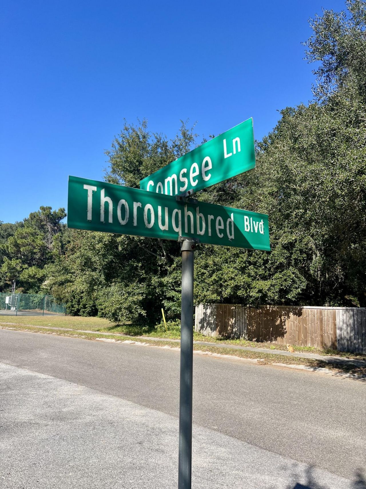 1501 Thoroughbred Boulevard Photo 54