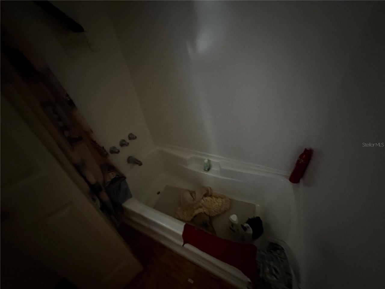 361 Tampico Drive, Palmetto, FL 34221 Photo