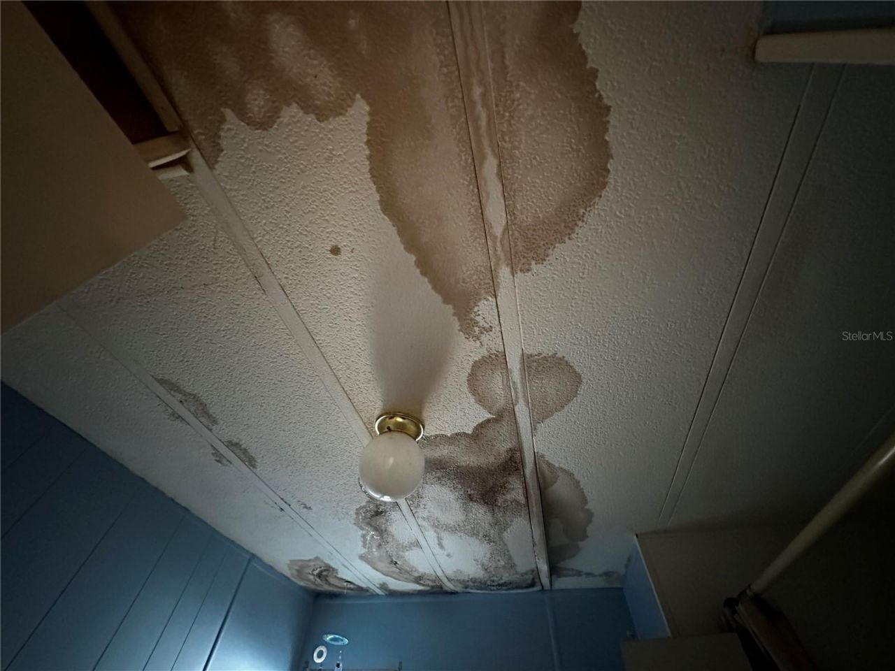 361 Tampico Drive, Palmetto, FL 34221 Photo