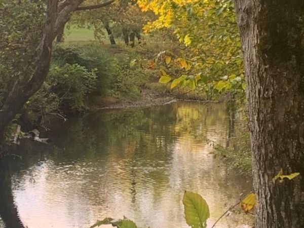 2168 Fairview Rd, Tellico Plains, TN 37385