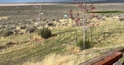 76770 Fish Springs Rd, Reno, NV 89510 Photo