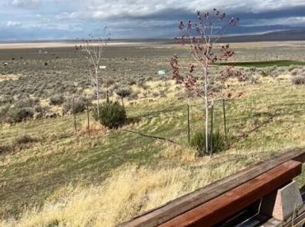 76770 Fish Springs Rd, Reno, NV 89510 Photo