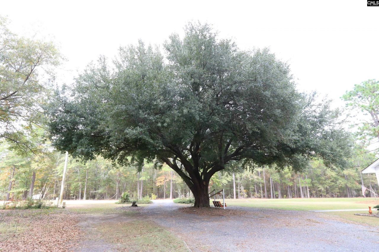 1415 Springvale Road Photo 4