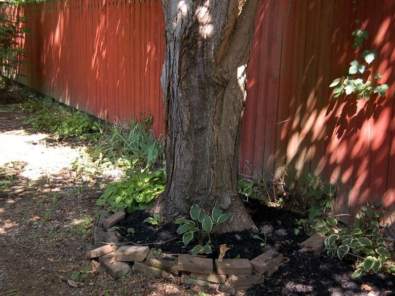 142 S Franklin Street, Richwood, OH 43344 Photo 60