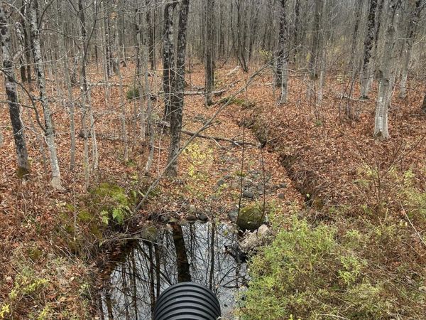 M10 L 7A Higgins Road, Pittsfield, ME 04922