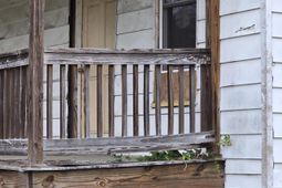 668 Maple Street photo 4