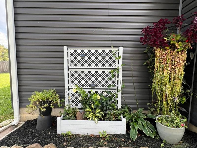 2064 Mace Drive, Albany, OH 45710 Photo 22