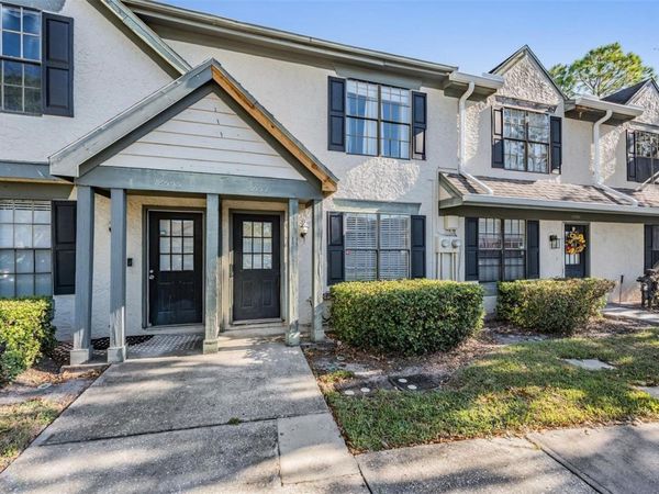 16553 BRIGADOON DRIVE, TAMPA, FL 33618