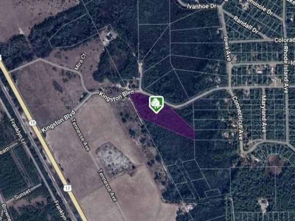 XXX KINGSTON BOULEVARD, SATSUMA, FL 32189