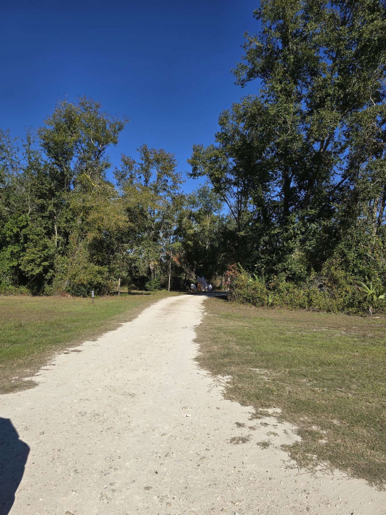 2620 N Us 221, Perry, FL 32347 Photo