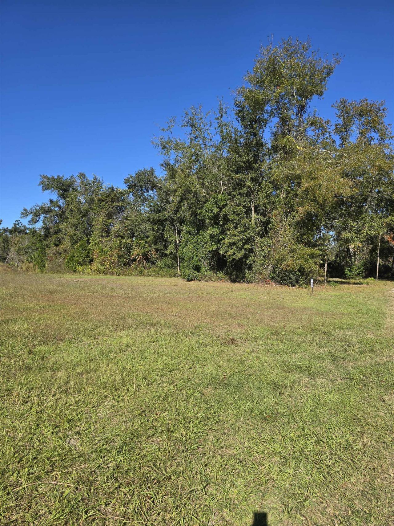 2620 N Us 221, Perry, FL 32347 Photo