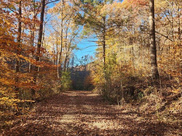 Terry Creek Lane, Pioneer, TN 37847