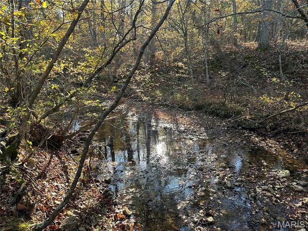 00 Off County Road 4, Belleview, MO 63623