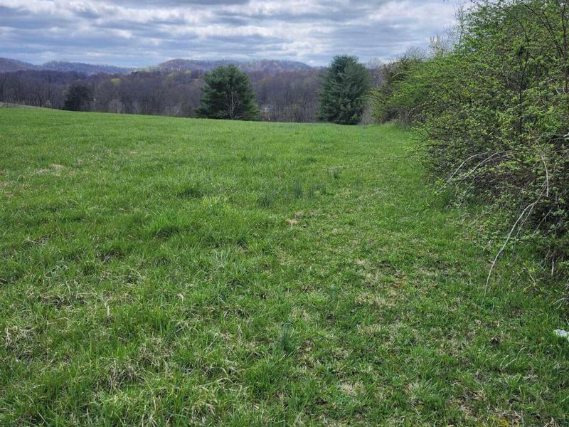 920 Hanna Lane, Londonderry, OH 45647 Photo 29