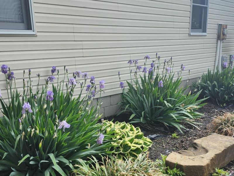 920 Hanna Lane, Londonderry, OH 45647 Photo 65