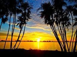 2760 Kumquat Drive, Clearwater, FL 33759 Photo