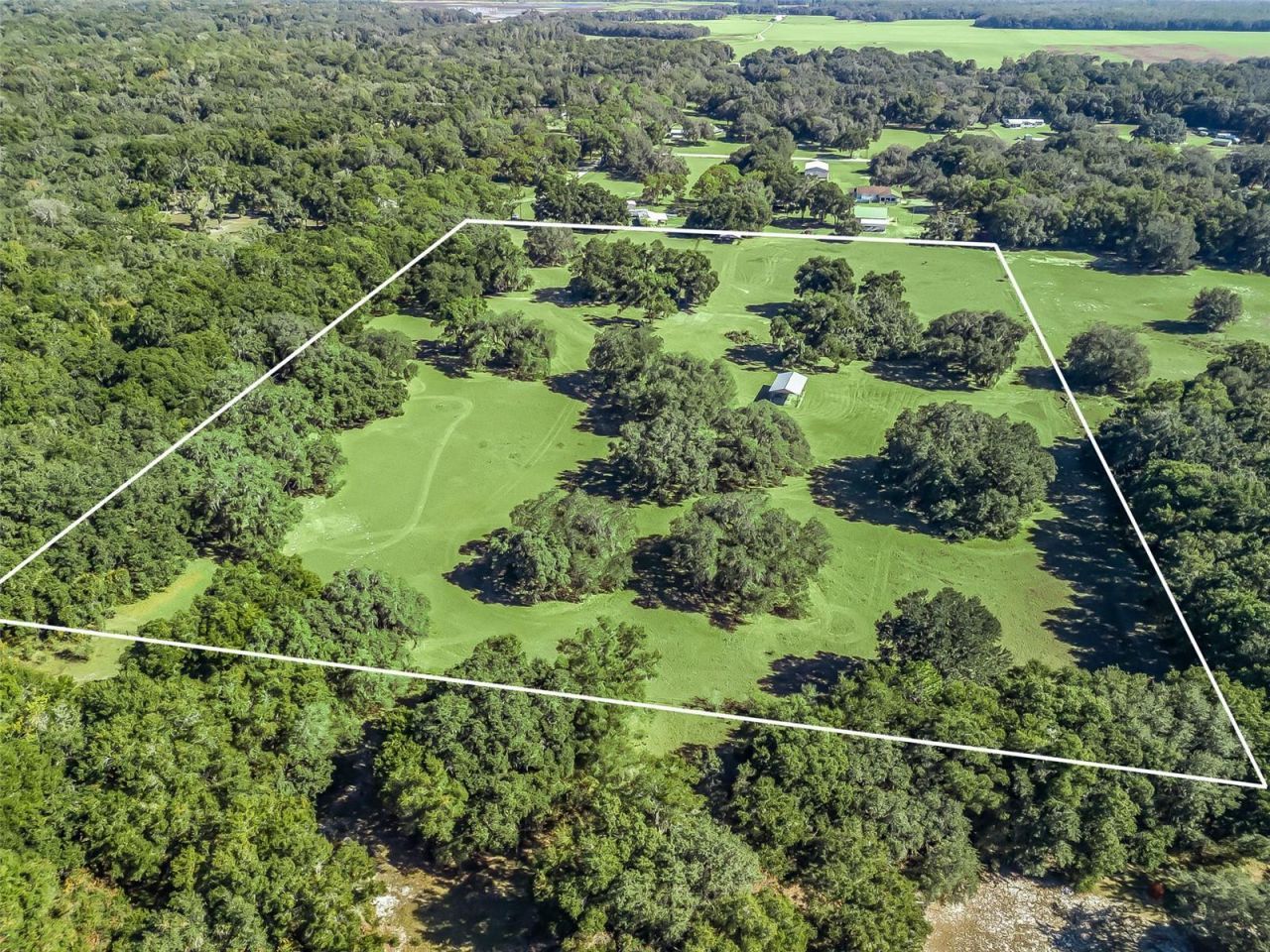 4160 NE 127th Place, Anthony, FL 32617 Photo