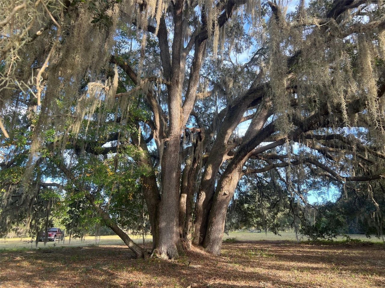 4160 NE 127th Place, Anthony, FL 32617 Photo