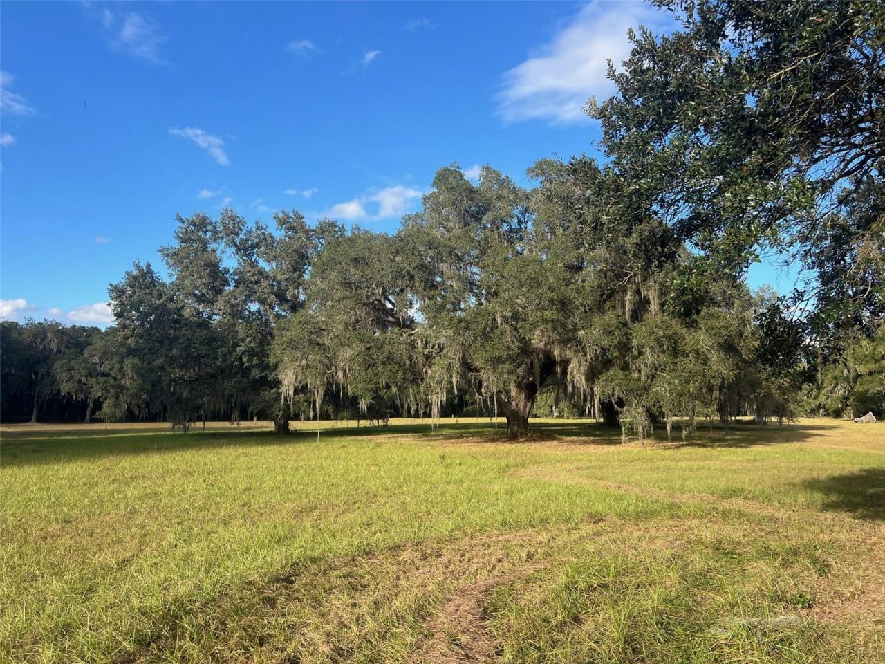 4160 NE 127th Place, Anthony, FL 32617 Photo