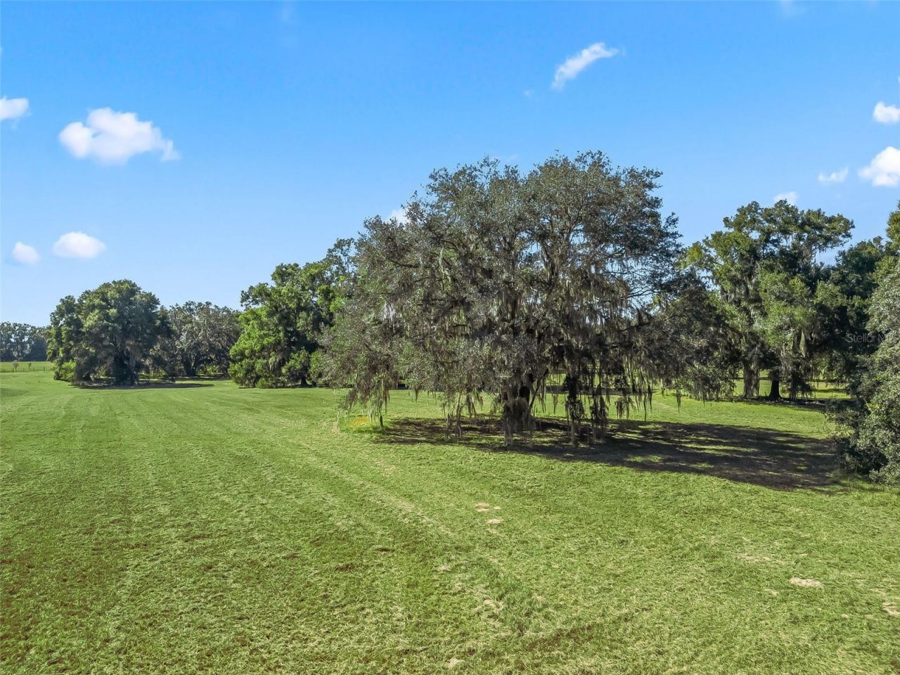 4160 NE 127th Place, Anthony, FL 32617 Photo