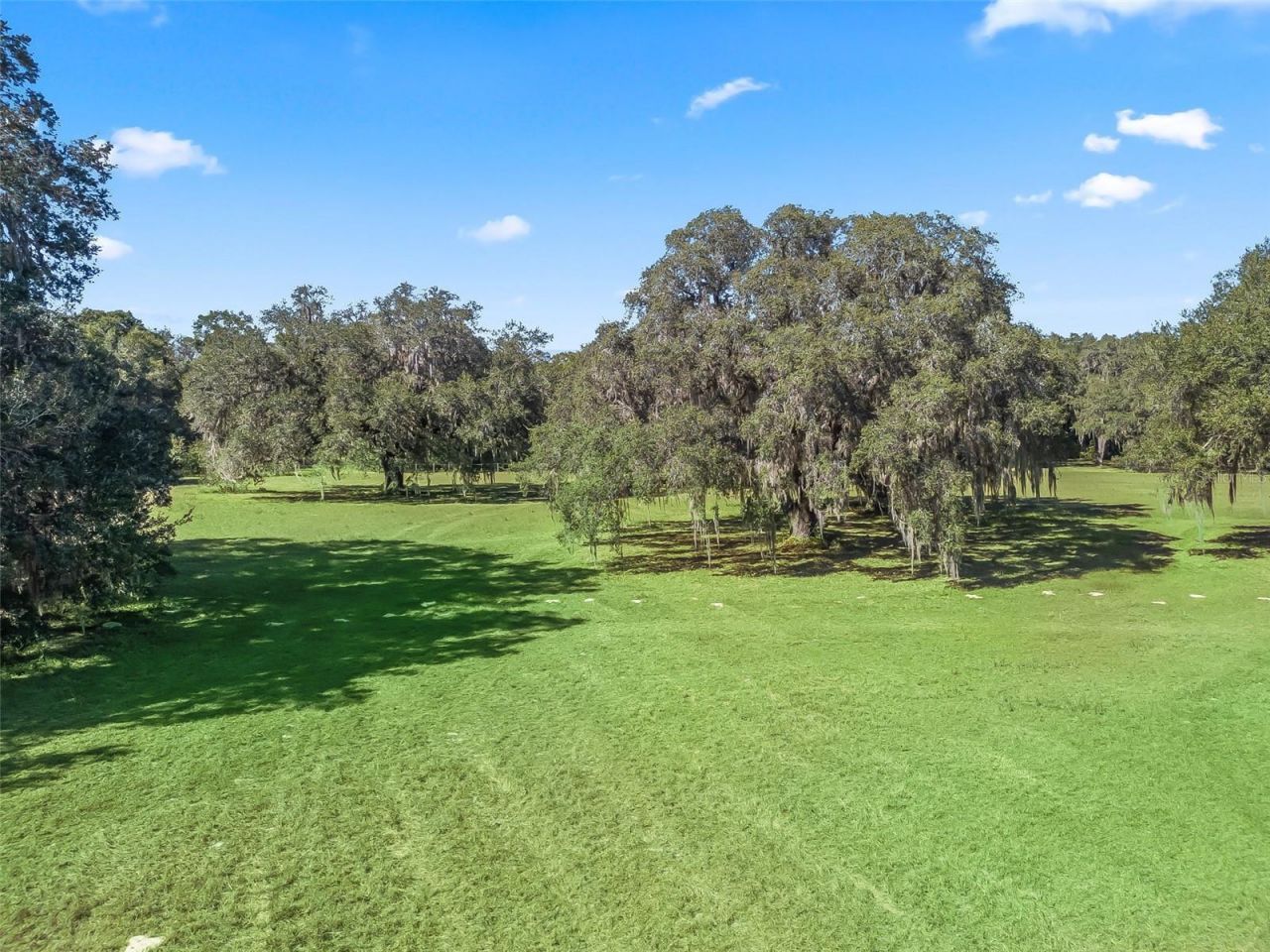 4160 NE 127th Place, Anthony, FL 32617 Photo