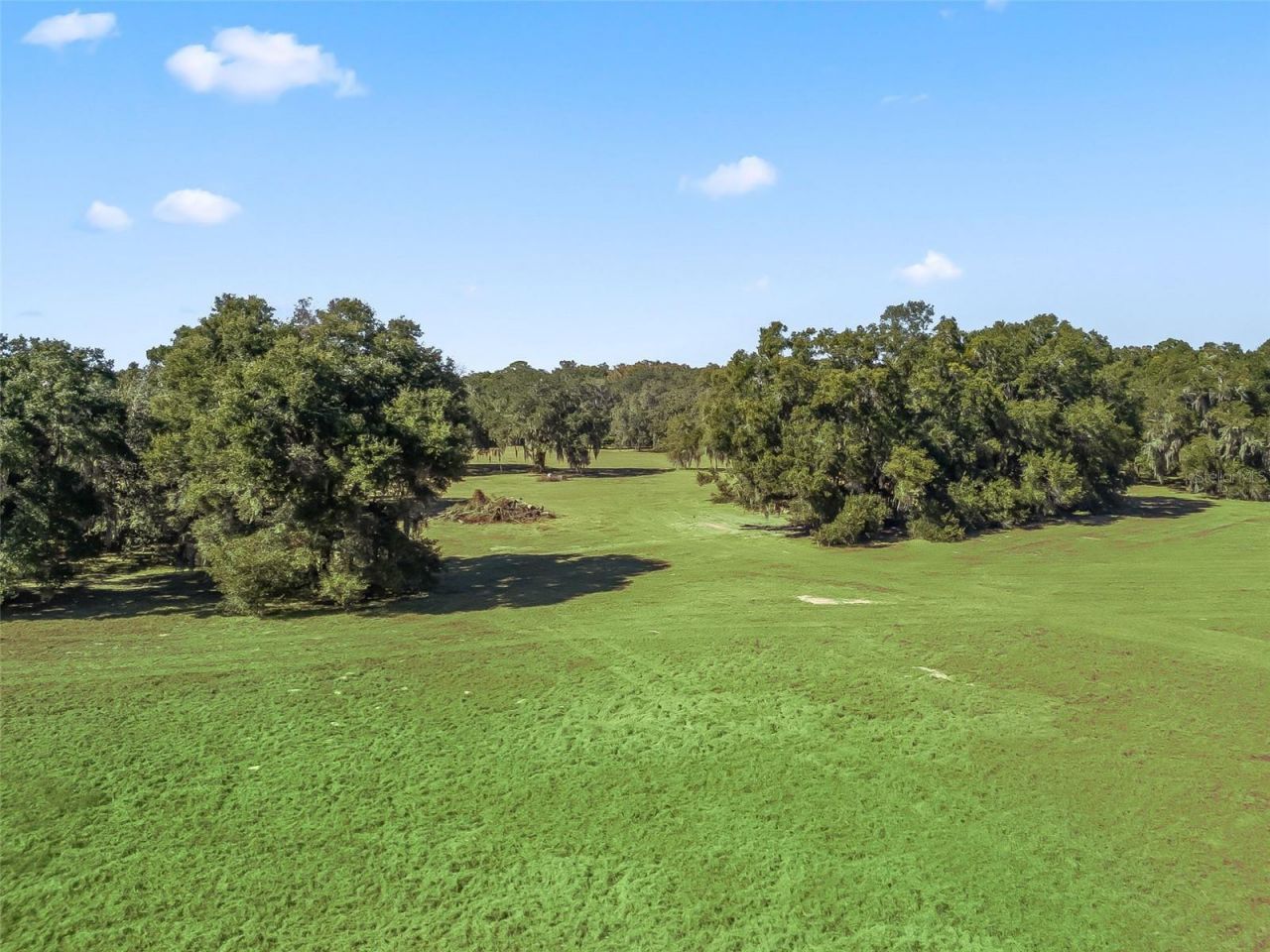 4160 NE 127th Place, Anthony, FL 32617 Photo