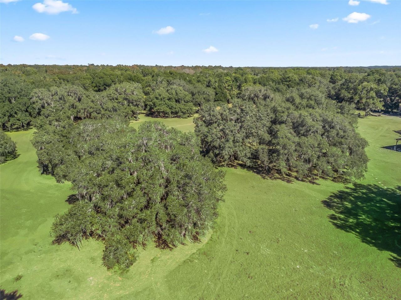 4160 NE 127th Place, Anthony, FL 32617 Photo