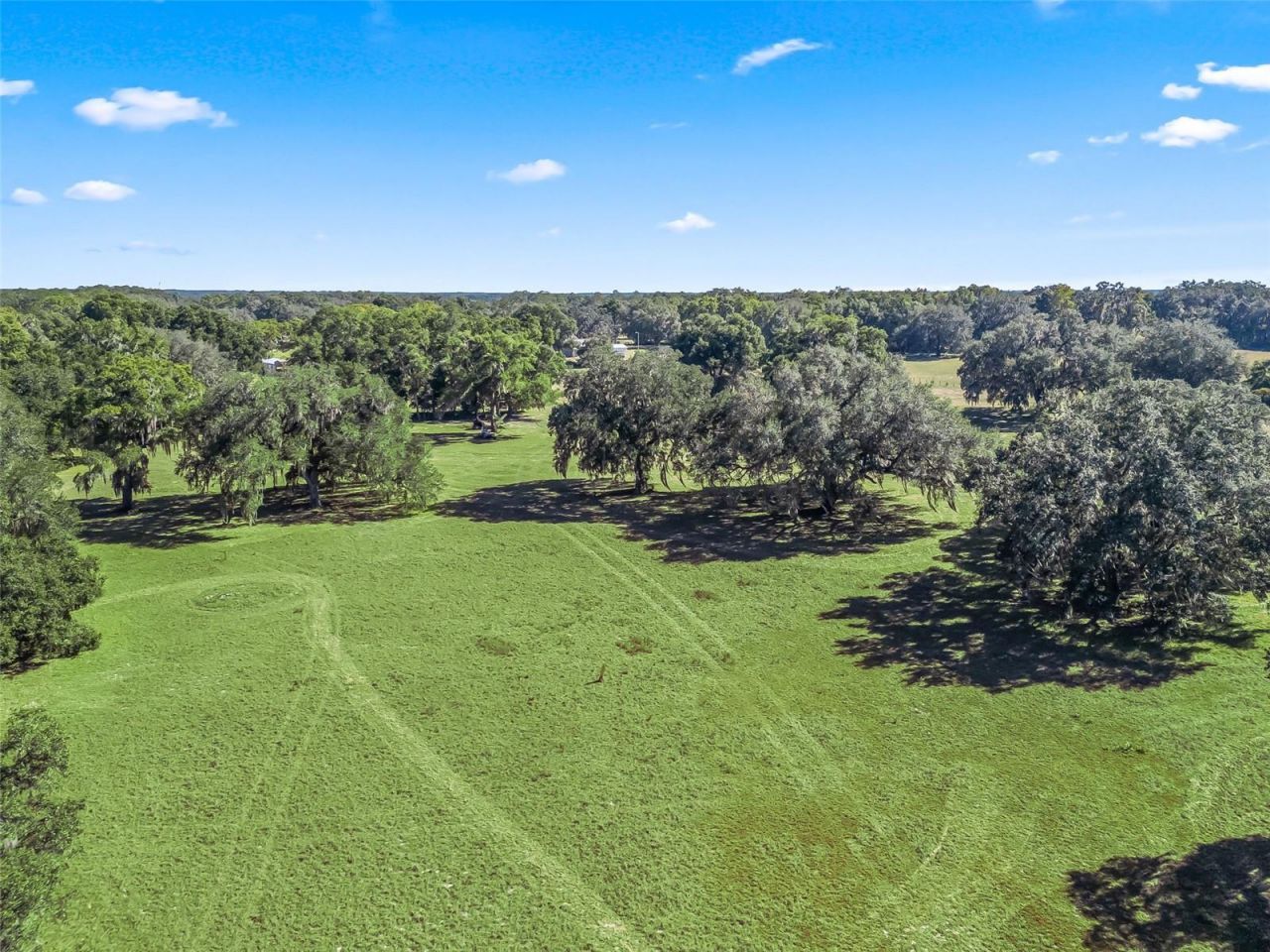 4160 NE 127th Place, Anthony, FL 32617 Photo