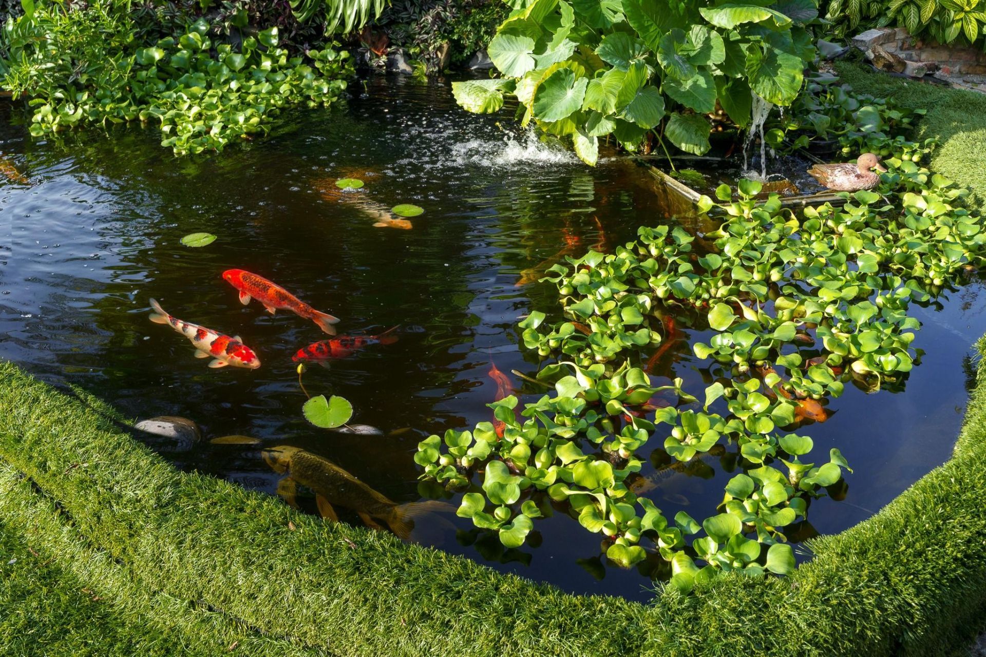 5973 SW 54th Ct, Davie, FL 33314 Photo