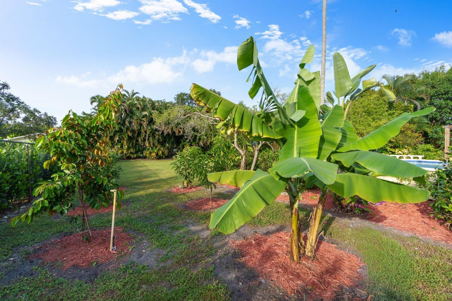 5973 SW 54th Ct, Davie, FL 33314 Photo