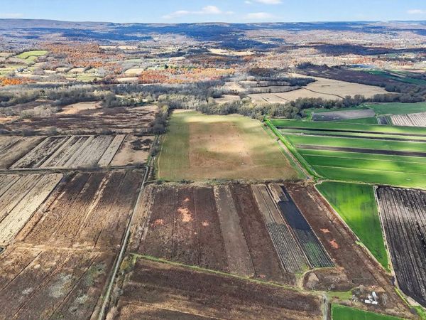 60 Bierstine Lane, Pine Island, NY 10969