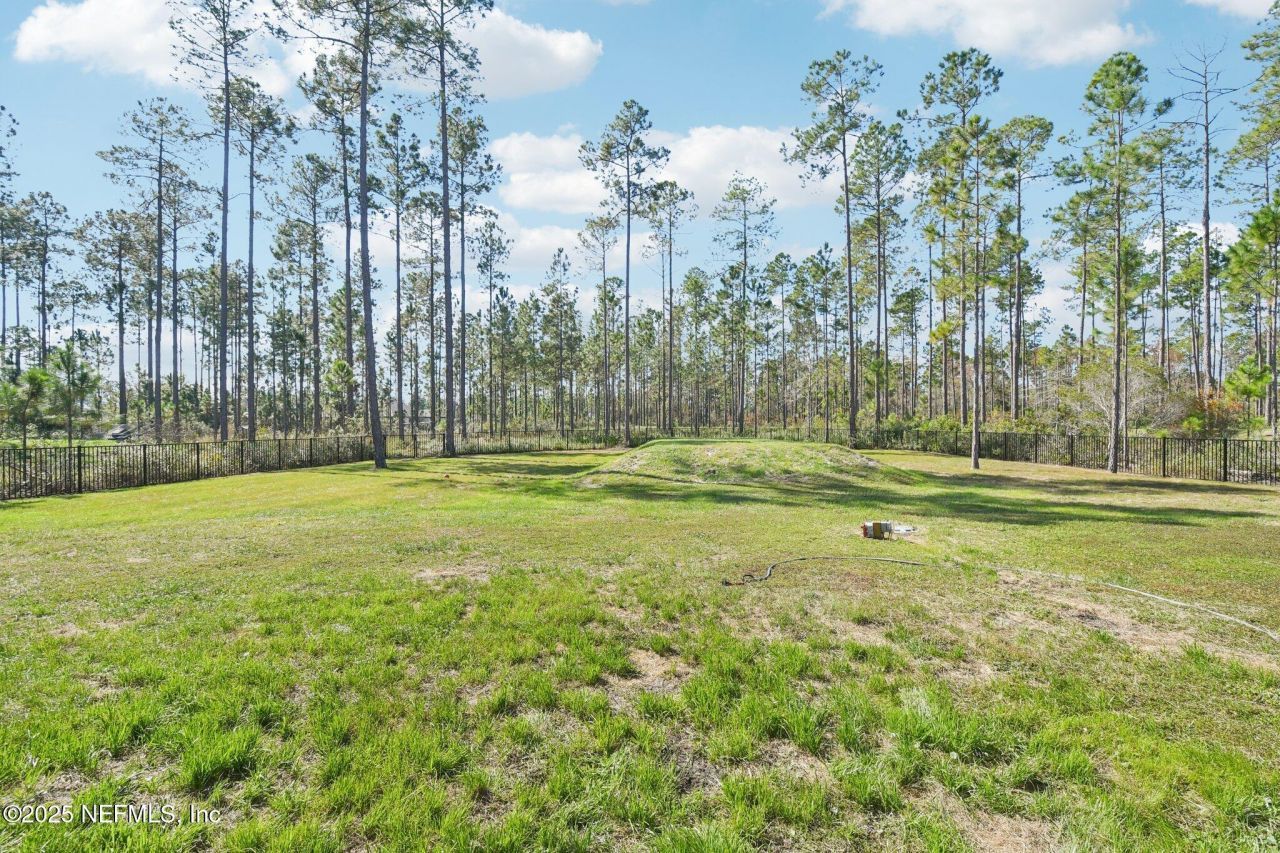 36273 Sugar Court, Hilliard, FL 32046 Photo