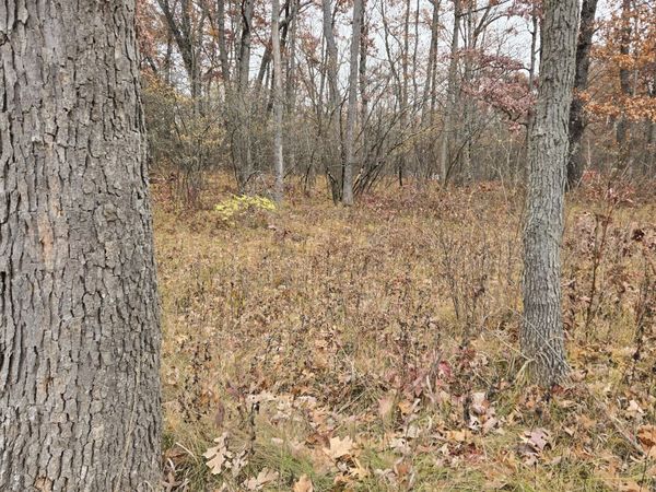 V/L Woodbridge Drive, Bitely, MI 49309