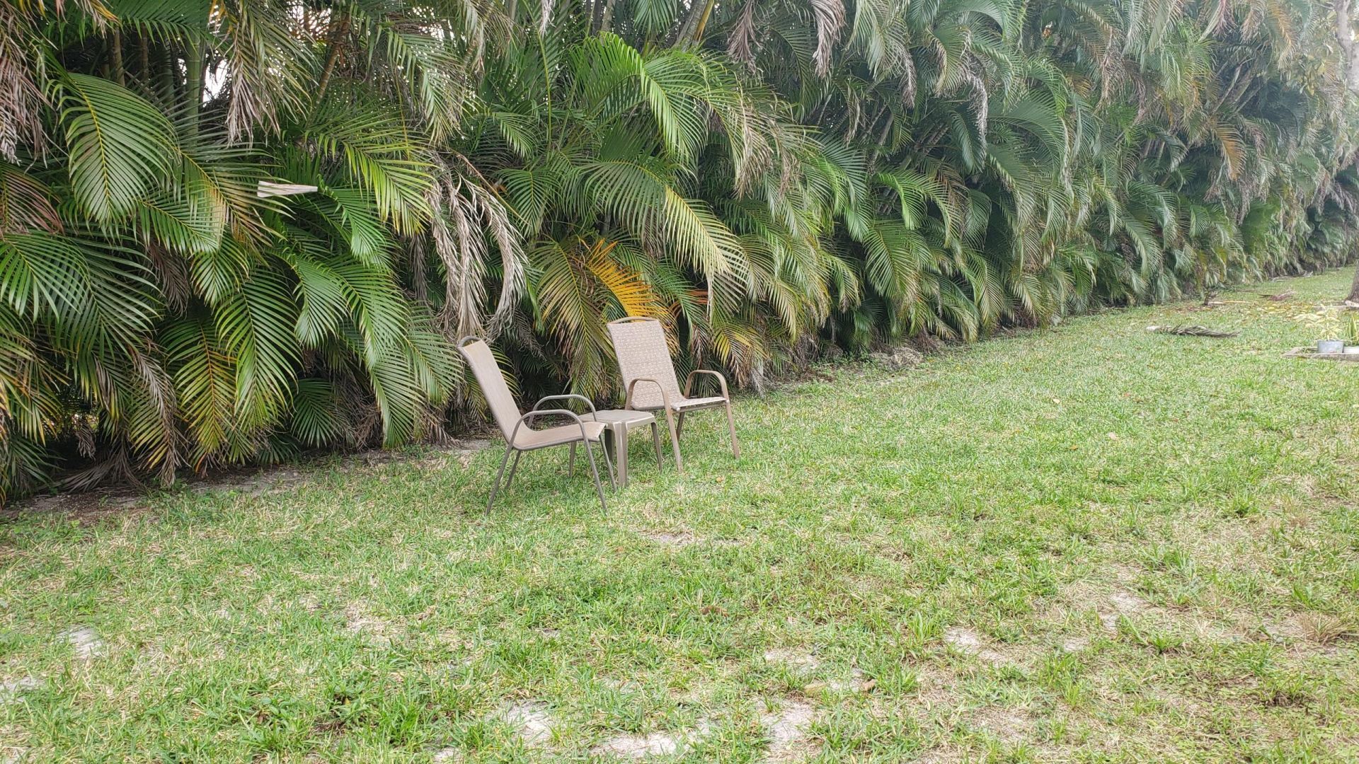 8128 South Street, Boca Raton, FL 33433 Photo