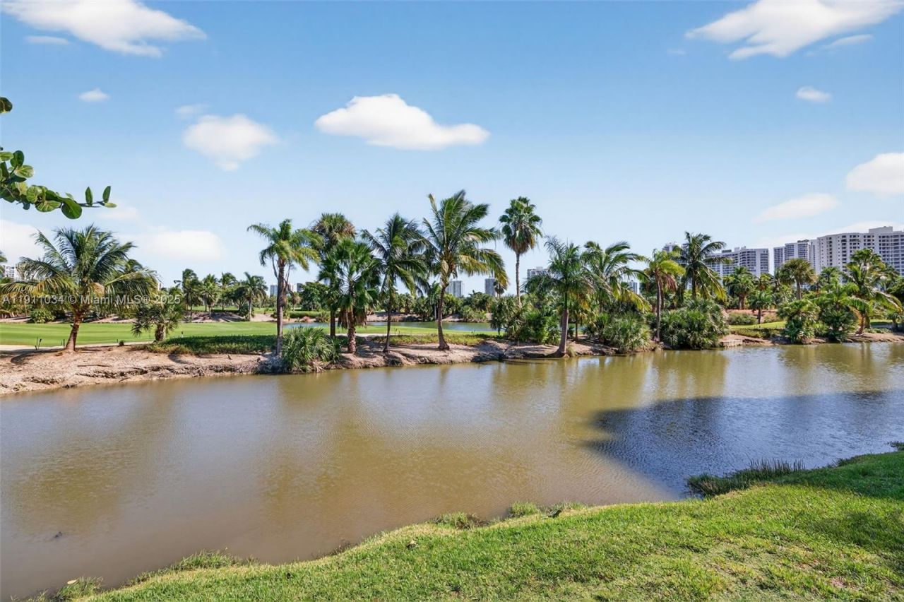 19501 W Country Club Dr, Unit 313, Aventura, FL 33180 Photo