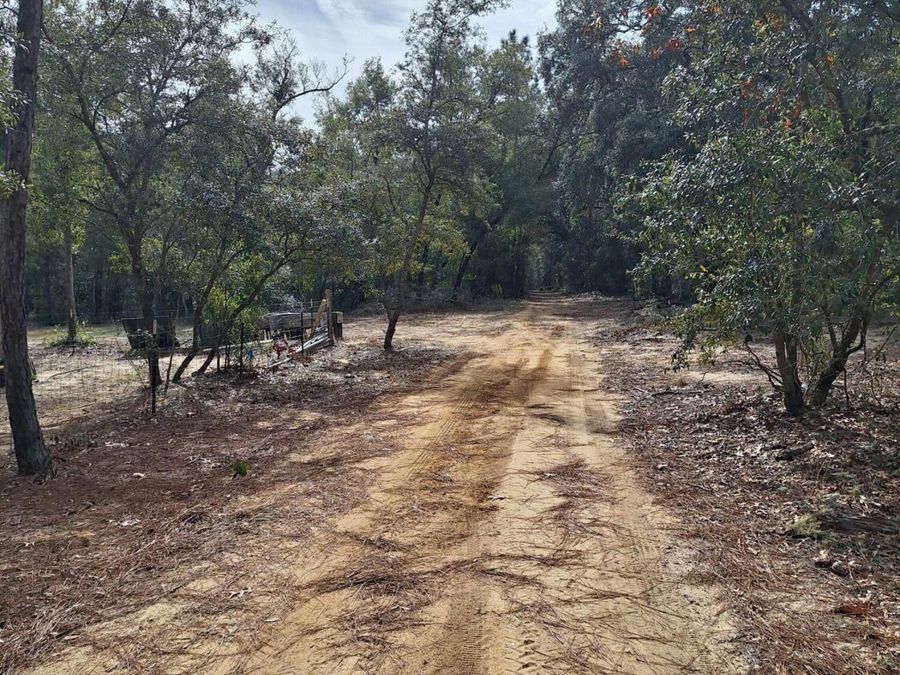 Property Image 18