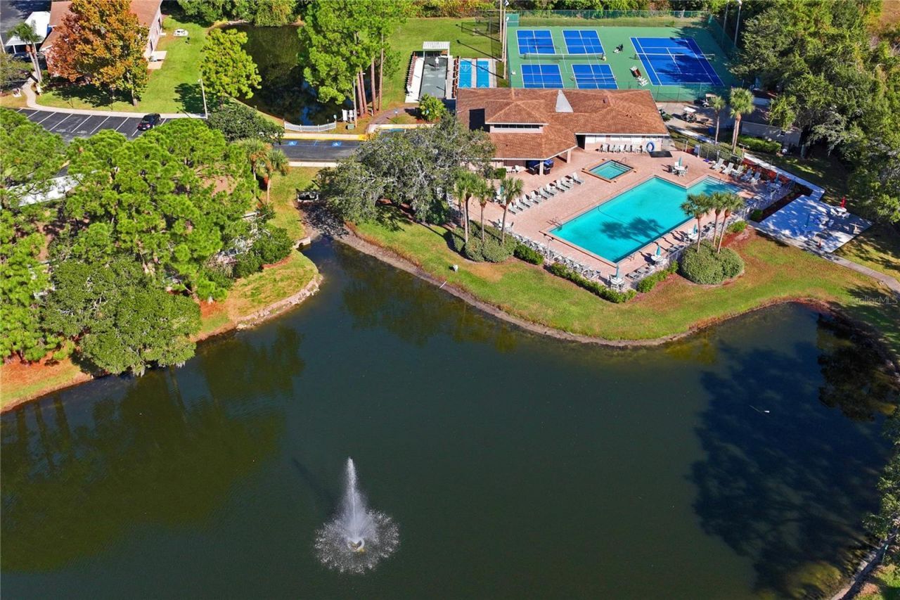 6424 Spring Flower Drive, Unit 24, New Port Richey, FL 34653 Photo