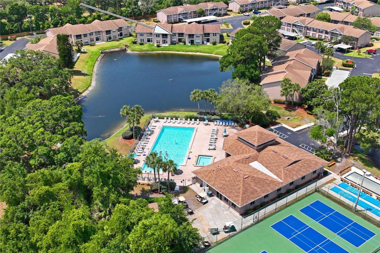 6424 Spring Flower Drive, Unit 24, New Port Richey, FL 34653 Photo