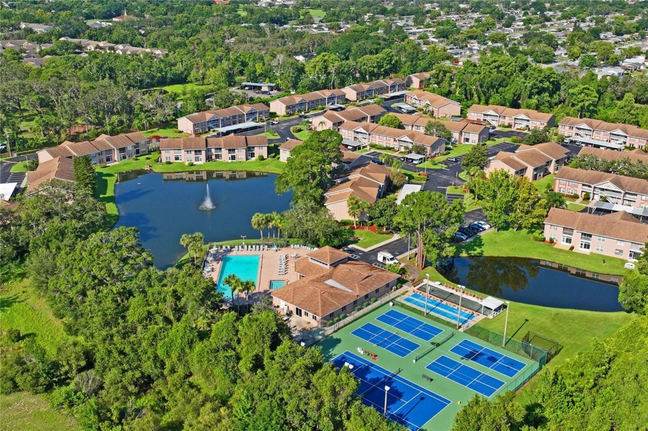 6424 Spring Flower Drive, Unit 24, New Port Richey, FL 34653 Photo