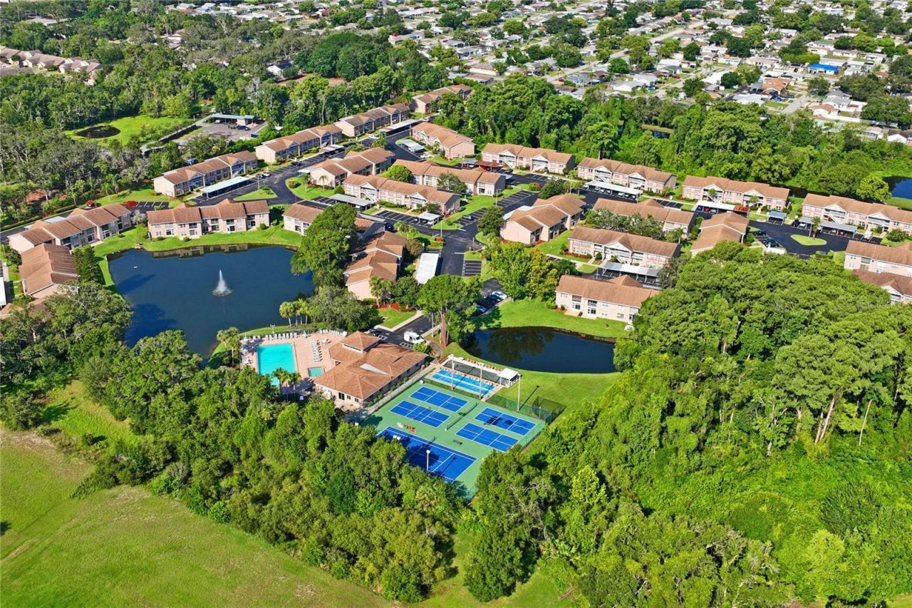 6424 Spring Flower Drive, Unit 24, New Port Richey, FL 34653 Photo