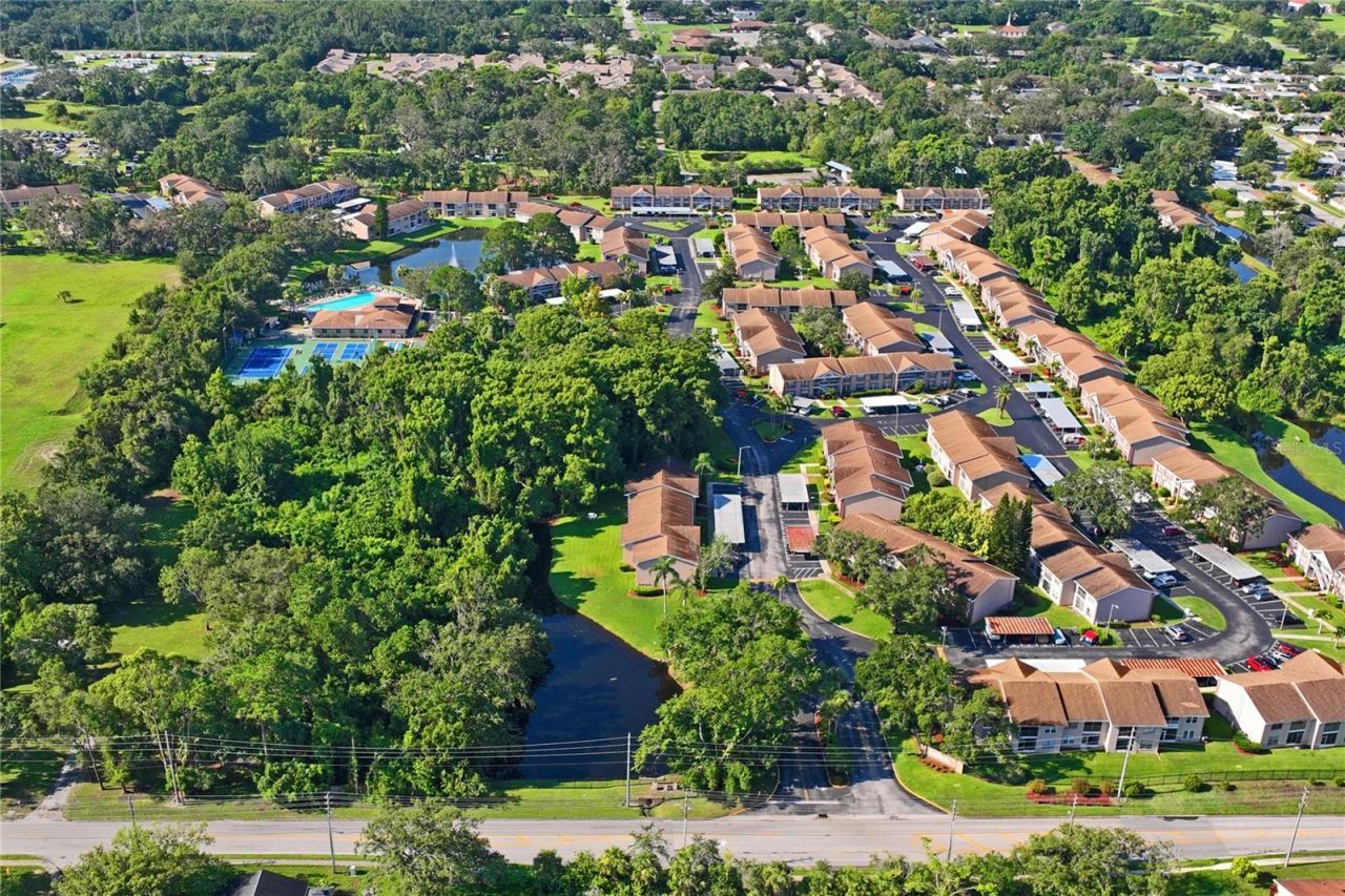 6424 Spring Flower Drive, Unit 24, New Port Richey, FL 34653 Photo