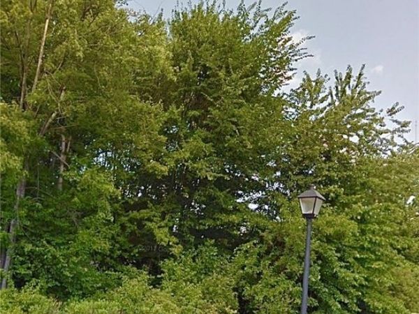 Cranberry Lane, Boardman, OH 44512