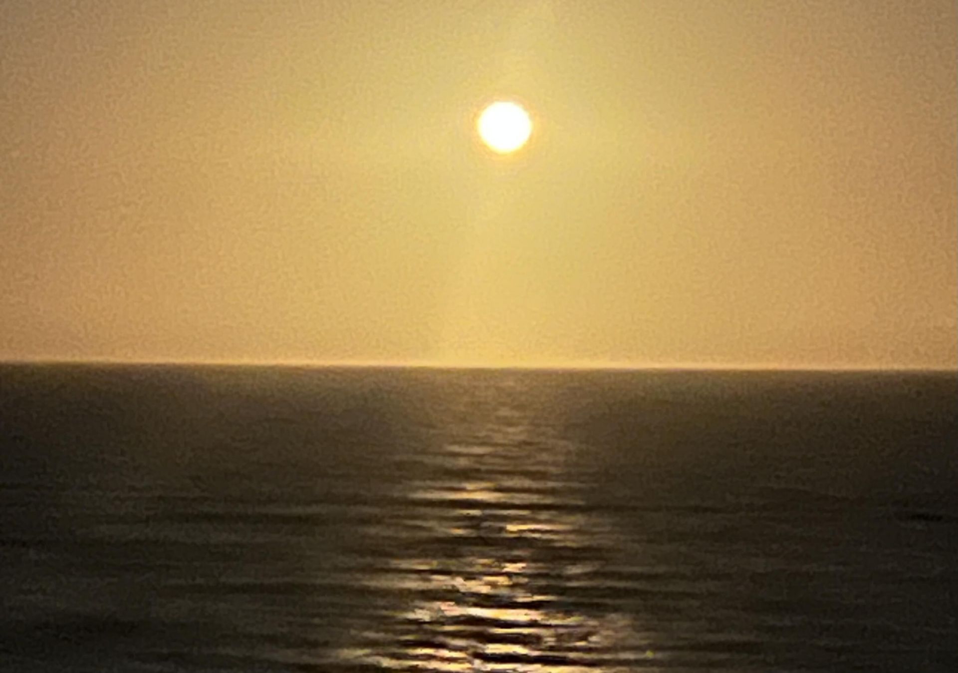 300 Ocean Trail Way, Unit 301, Jupiter, FL 33477 Photo