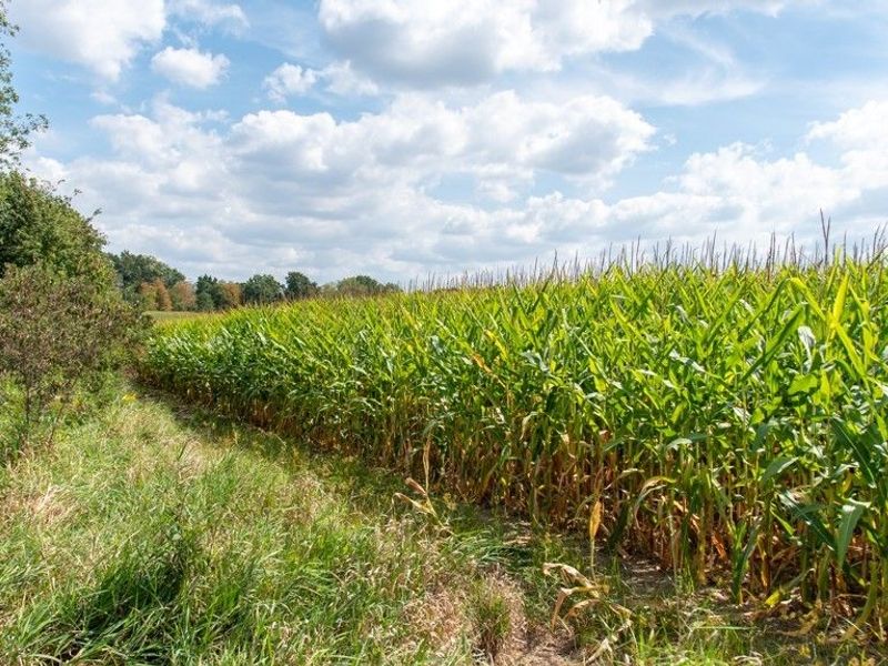 Crystal Lake Avenue NW, Canal Fulton, OH 44614 Photo 3