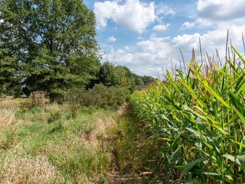 Crystal Lake Avenue NW, Canal Fulton, OH 44614 Photo 4