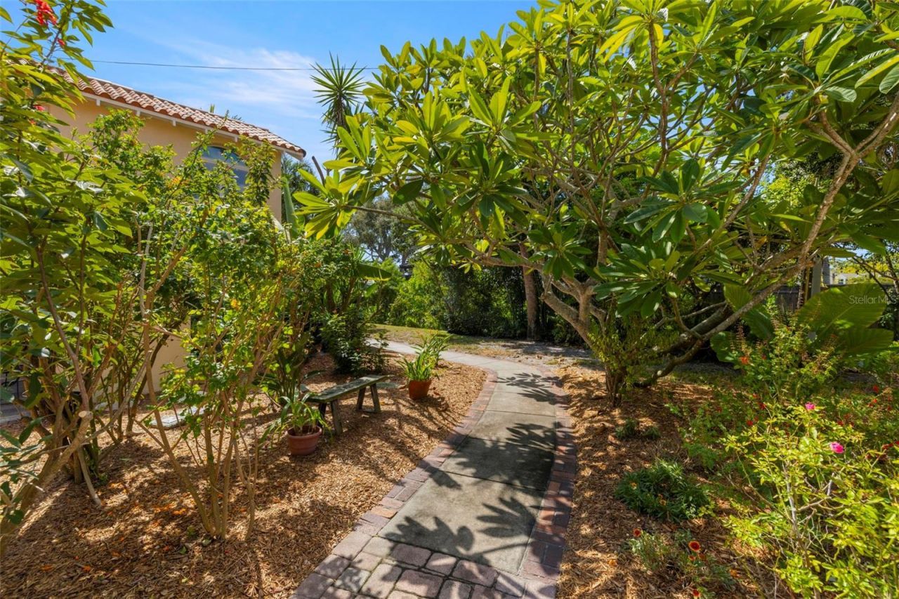 7240 Dr Martin Luther King Jr Street S, Saint Petersburg, FL 33705 Photo