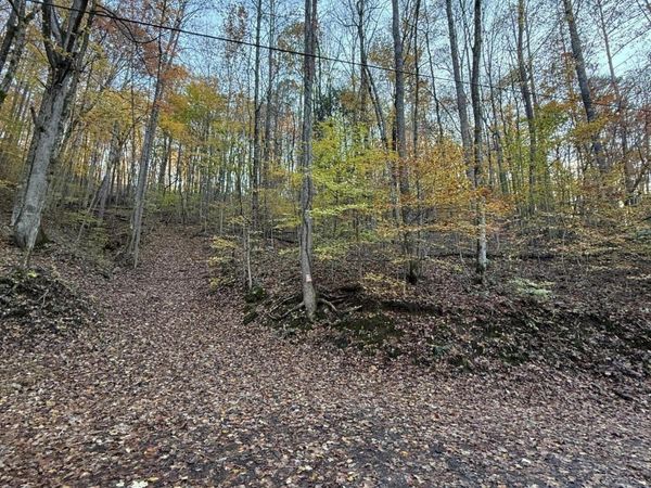 White Oak Lane, Caryville, TN 37714